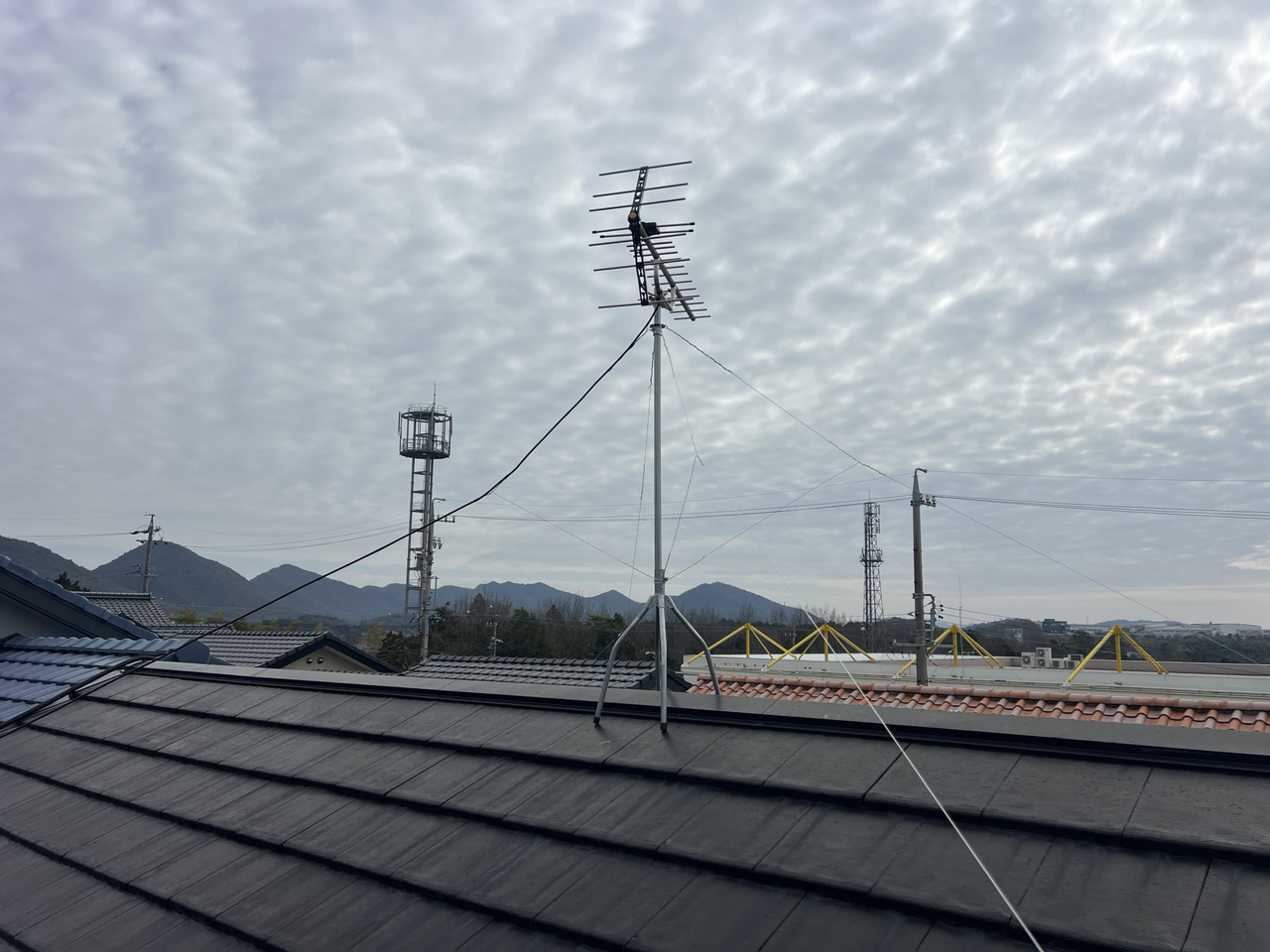 再設置したアンテナ全体